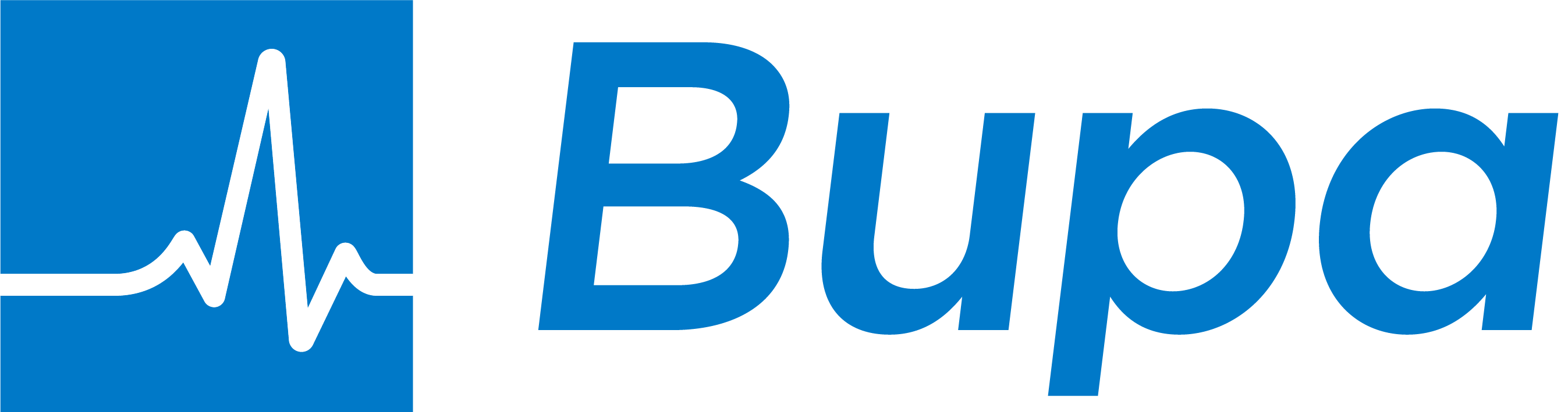 Bupa Ballarat Retirement Village logo