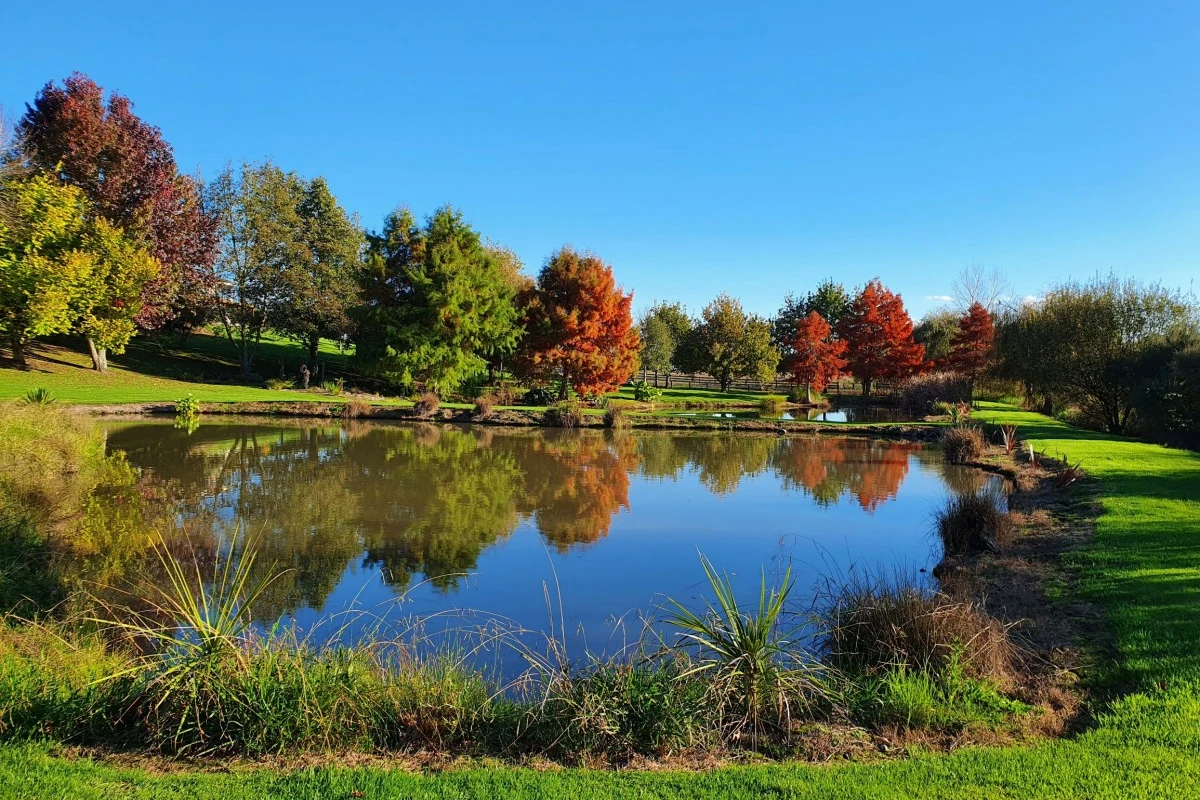 aparangi-village-6986