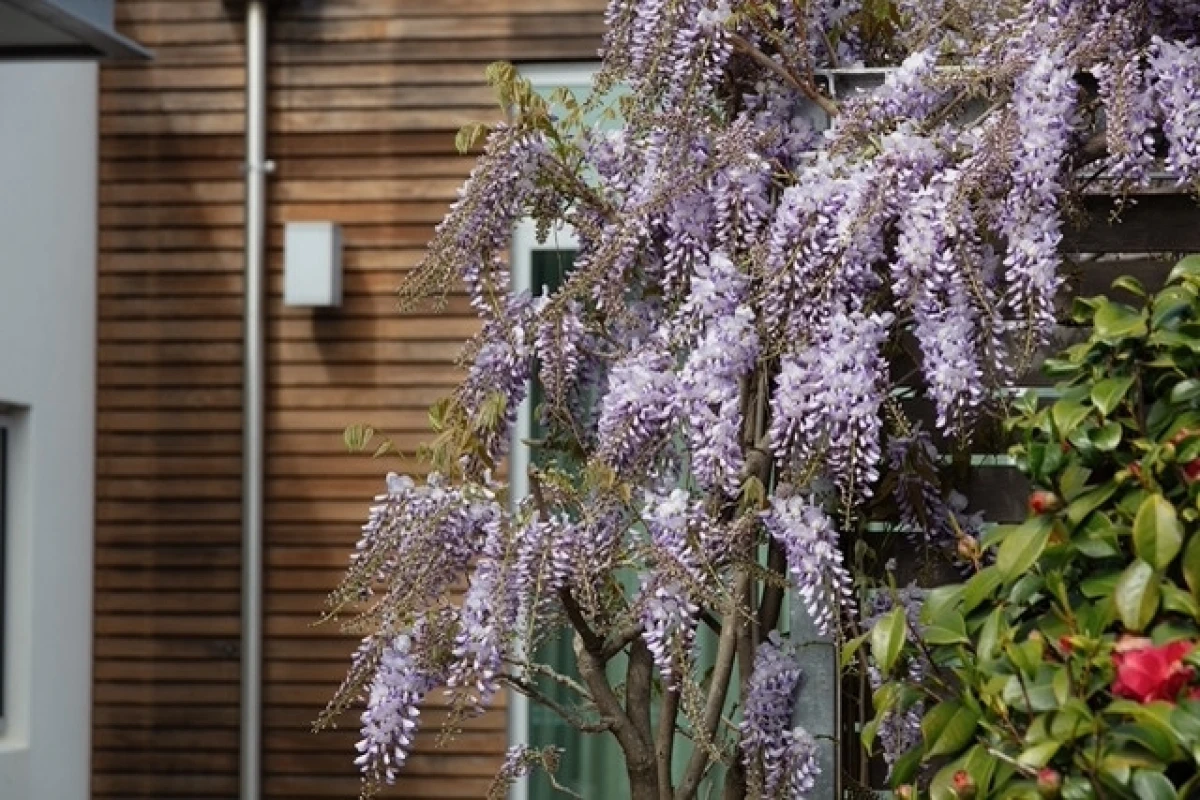 archer-beckenham-village-11879