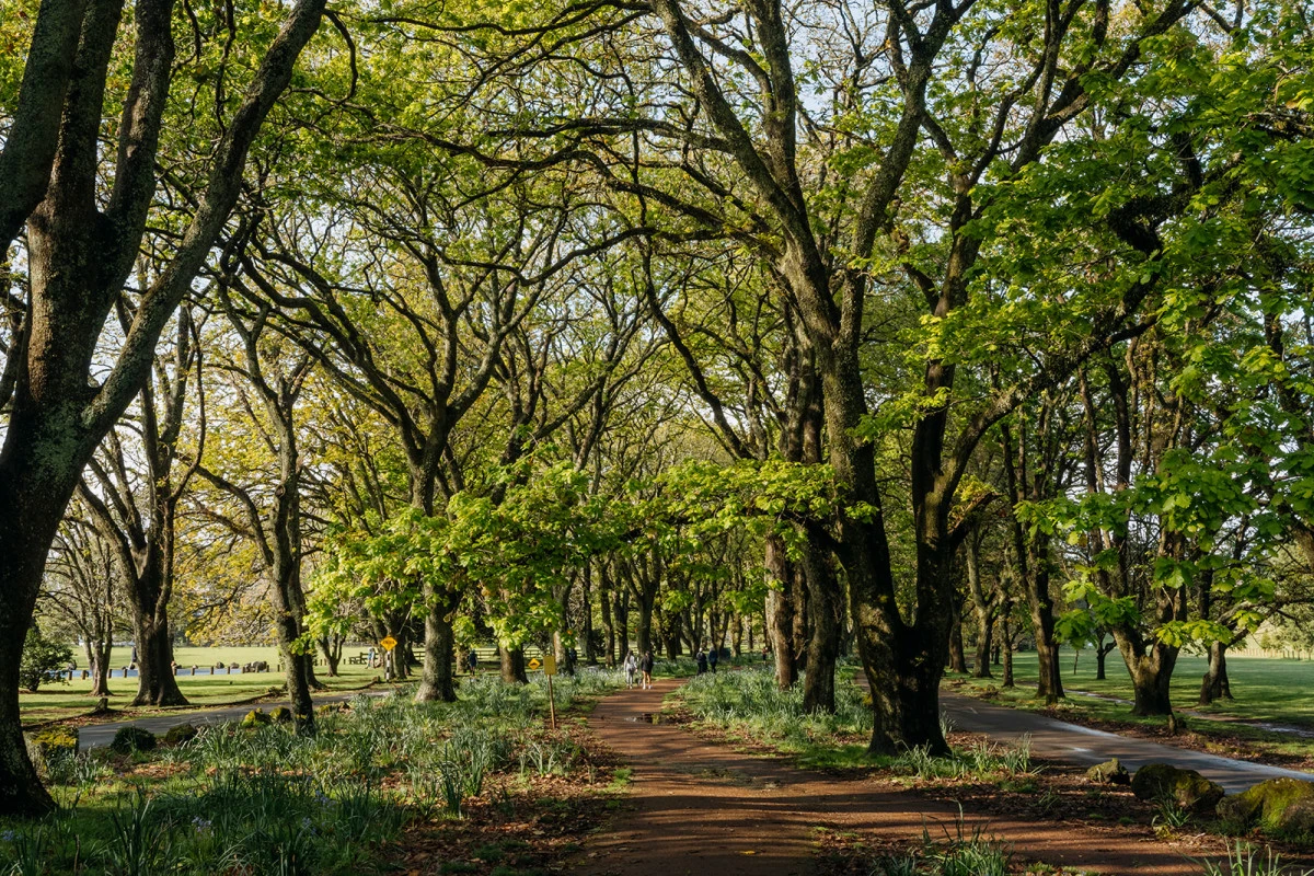 aria-park-arvida-11406