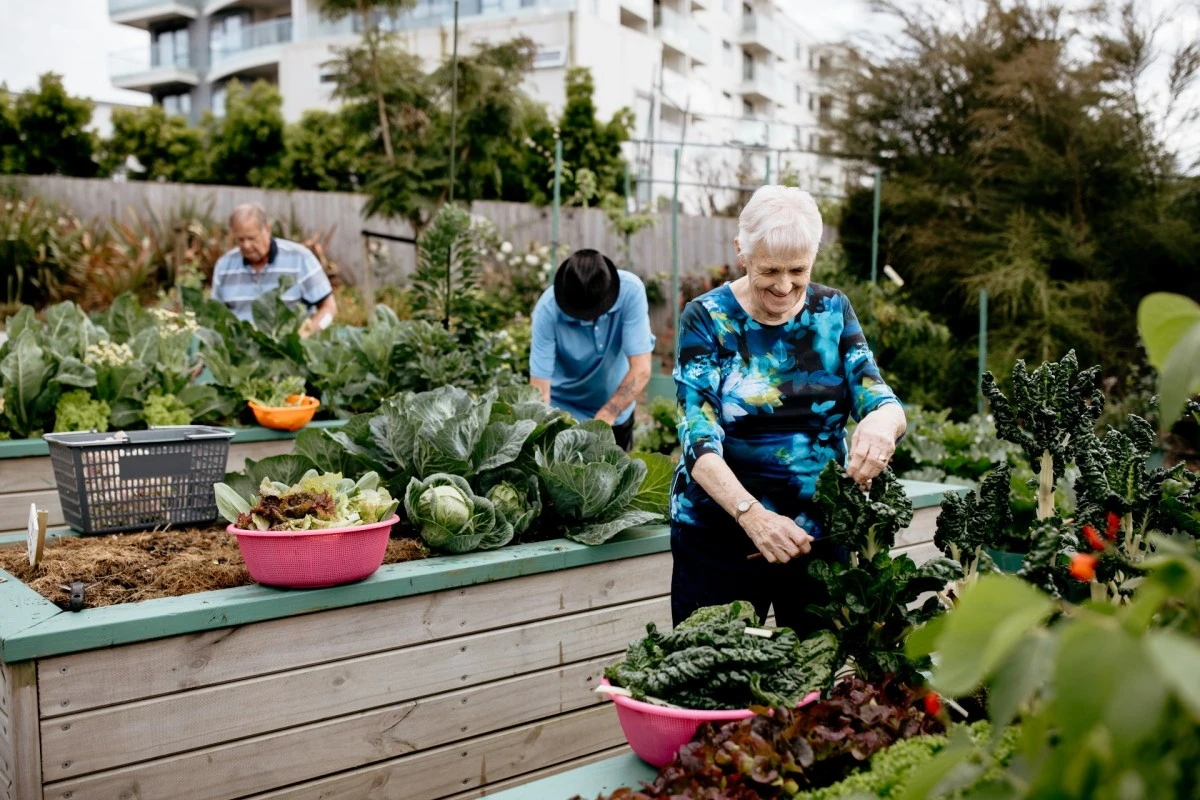 bupa-hugh-green-retirement-village-6618