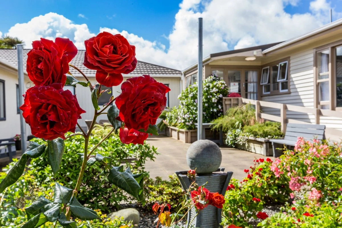 bupa-te-whanau-care-home-3573