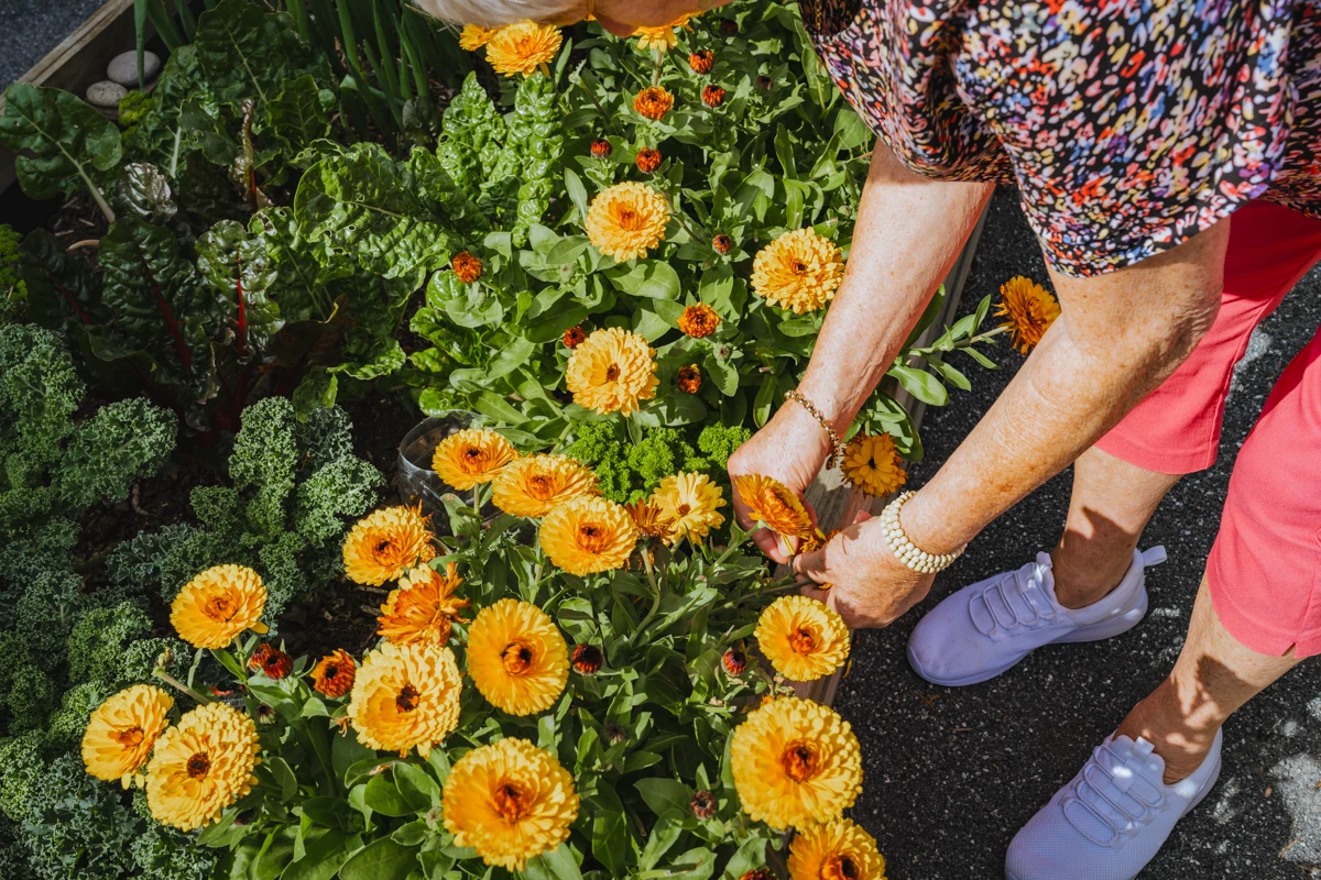 carmel-country-estate-11748