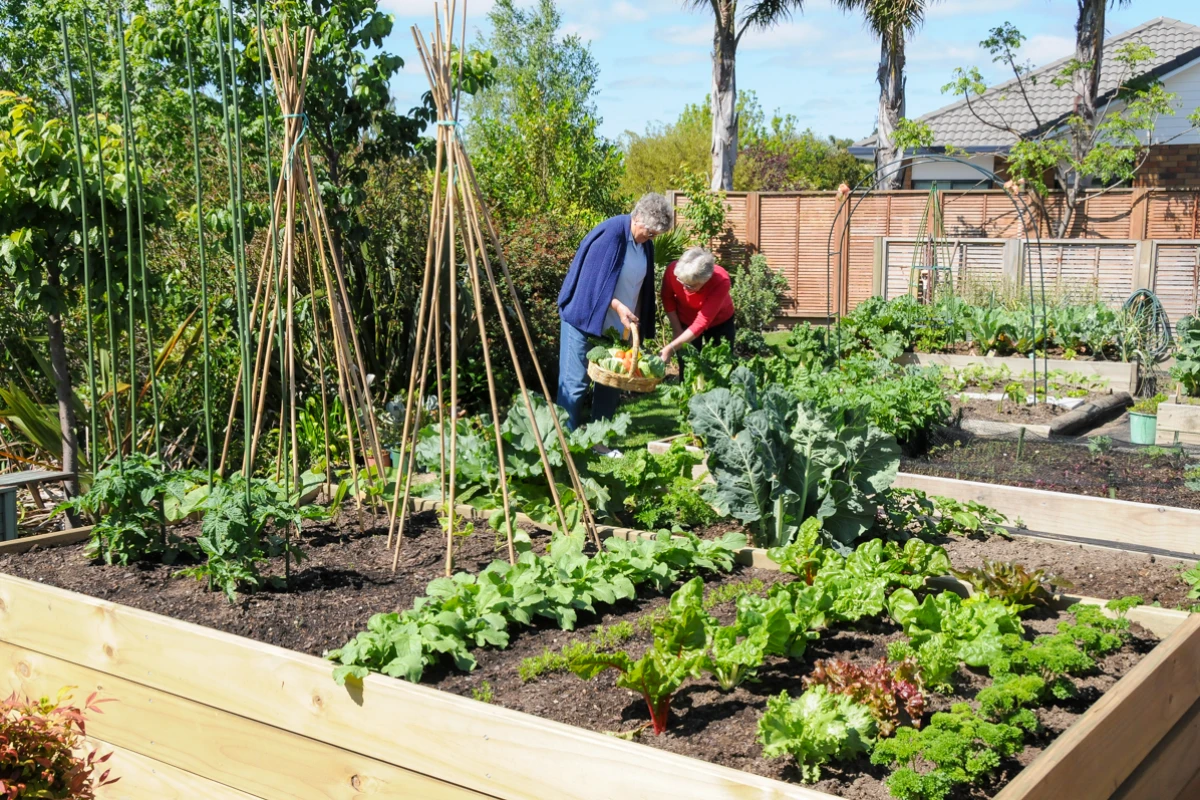 carmel-country-estate-11753