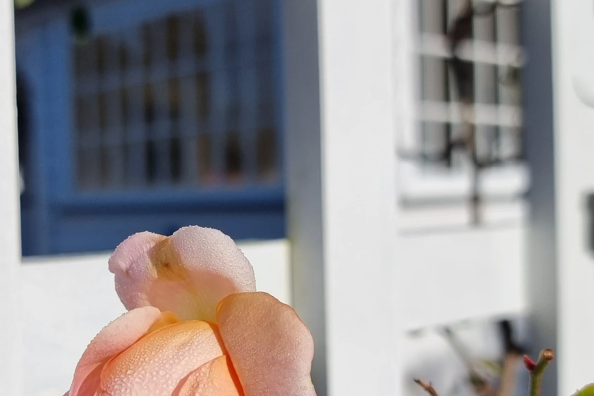 coromandel-lifestyle-village-12897