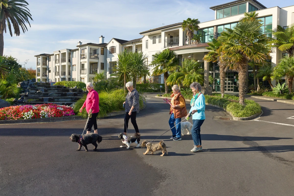 dannemora-gardens-metlifecare-8269