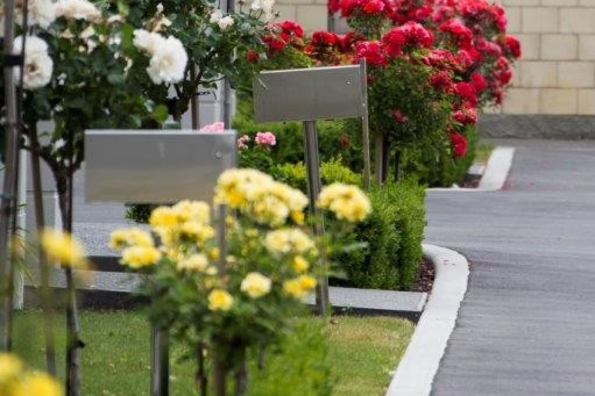 elmswood-retirement-village-9