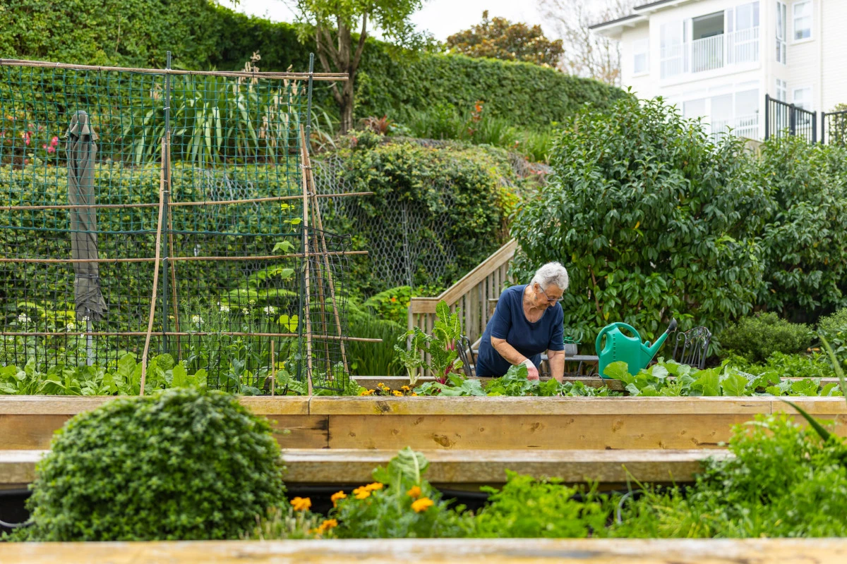 everil-orr-living-mount-albert-12104