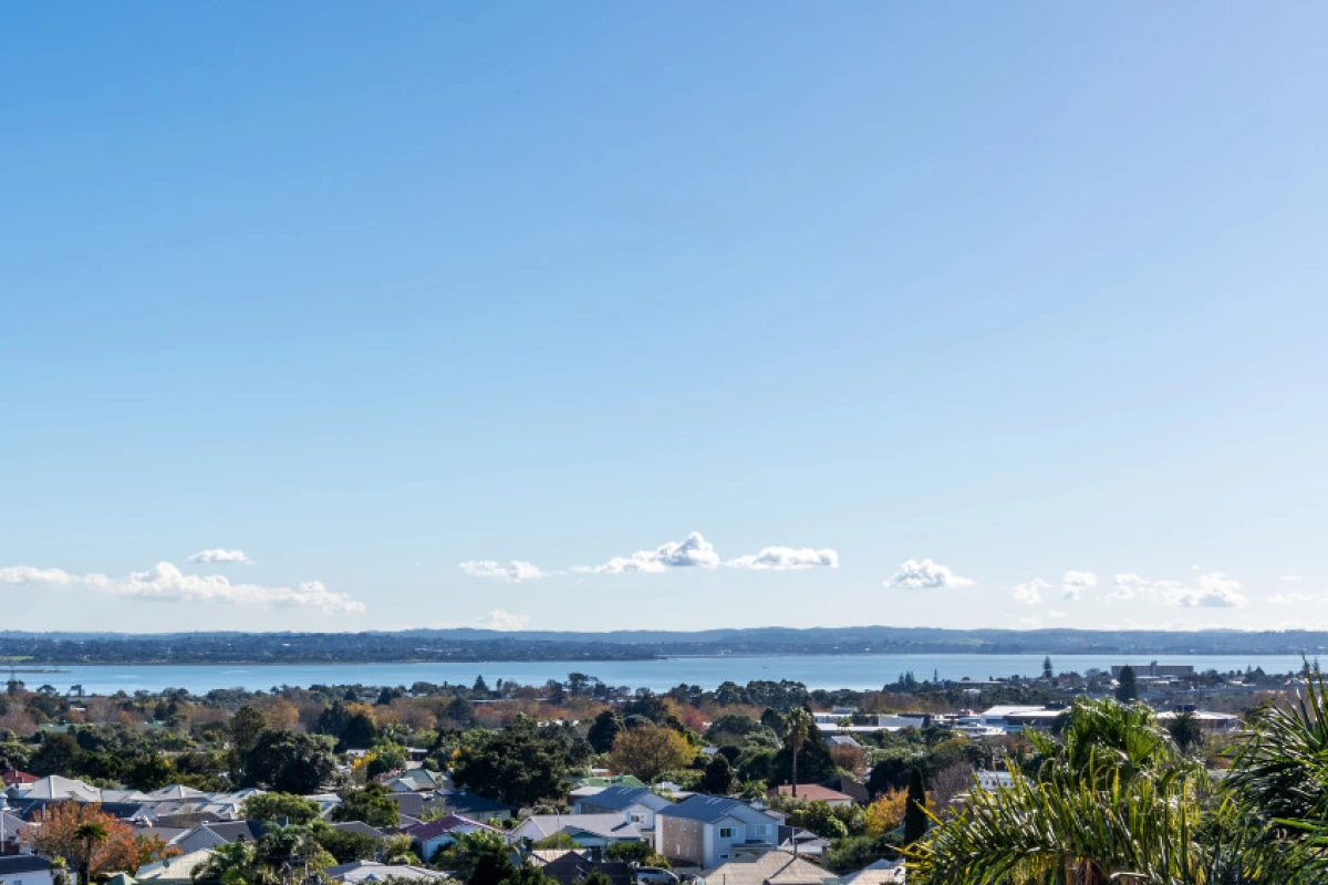 everil-orr-living-mount-albert-12110