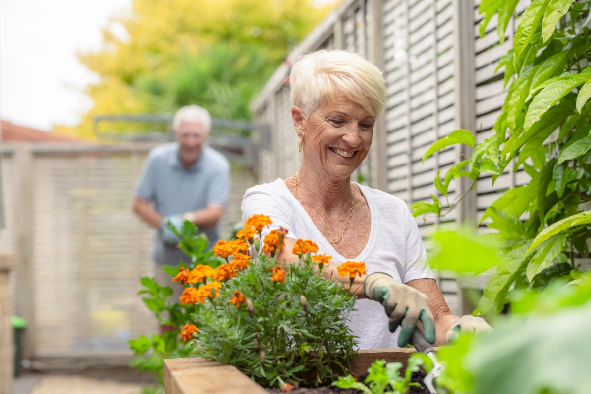 fairview-lifestyle-village-10778