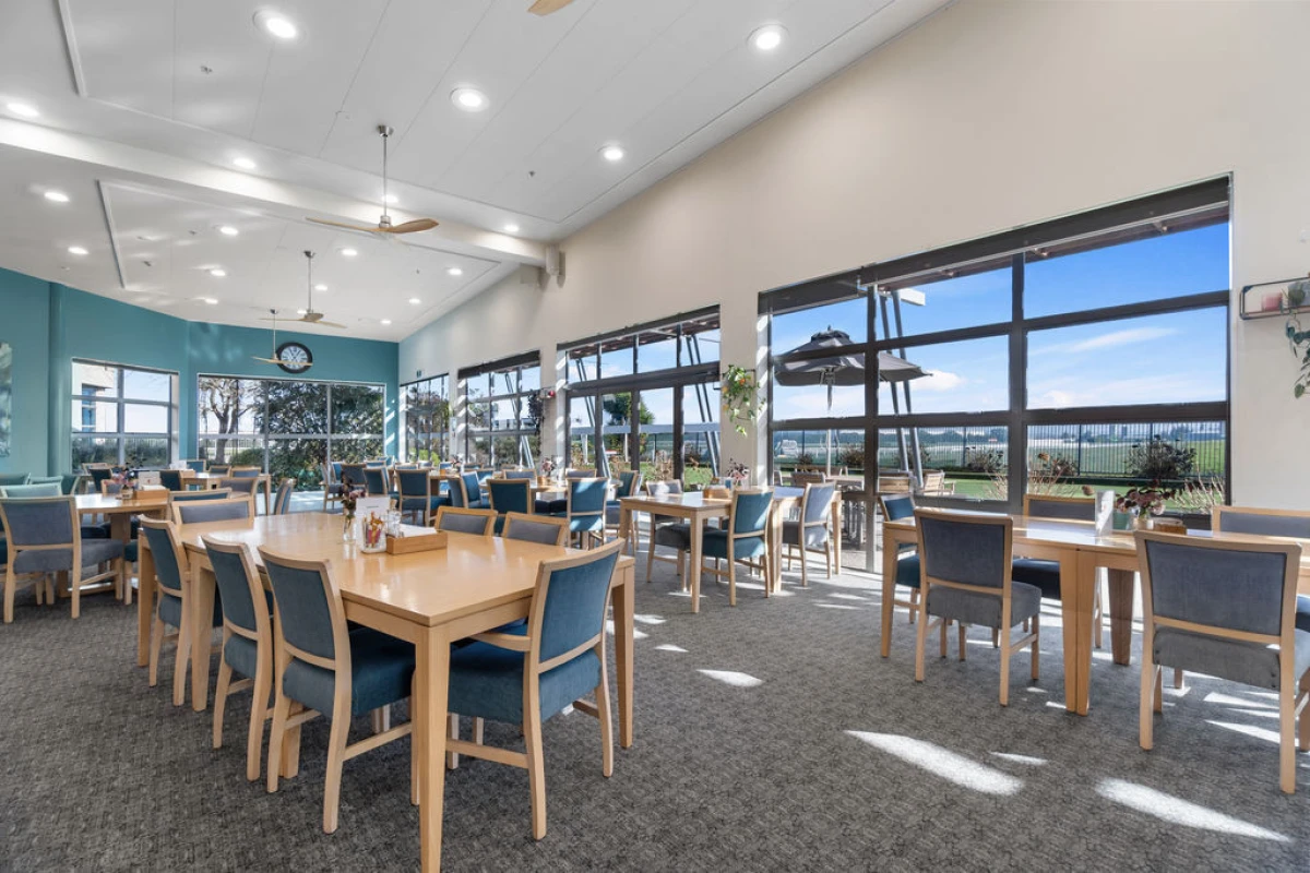 forest-lake-gardens-metlifecare-14126