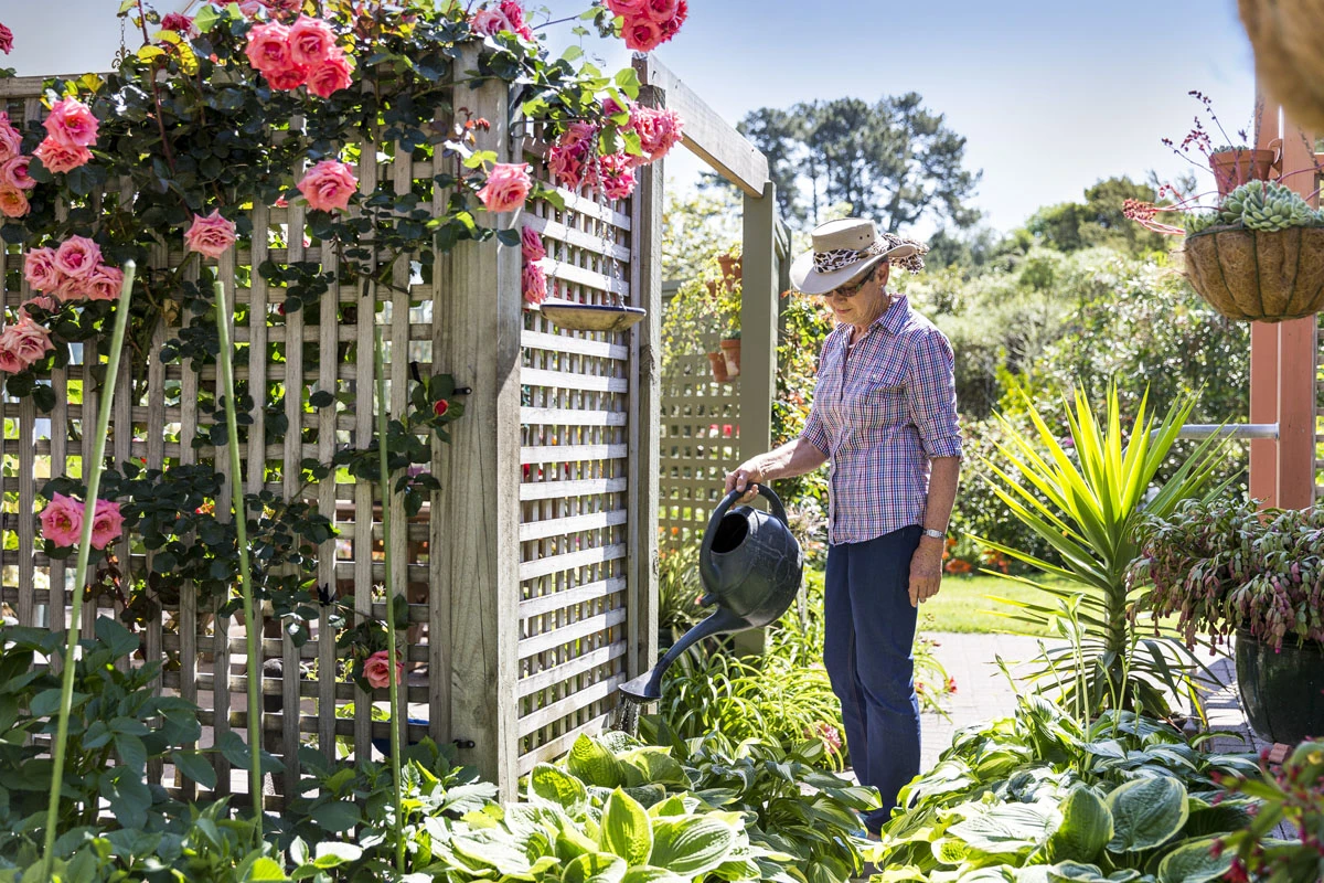 greenwood-park-metlifecare-5