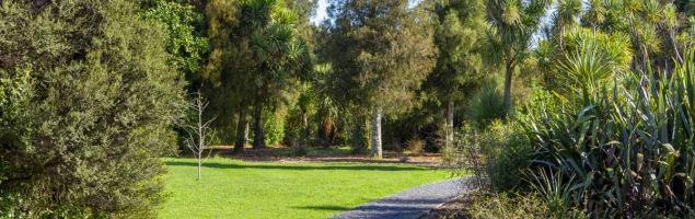 kapiti-village-metlifecare-13245