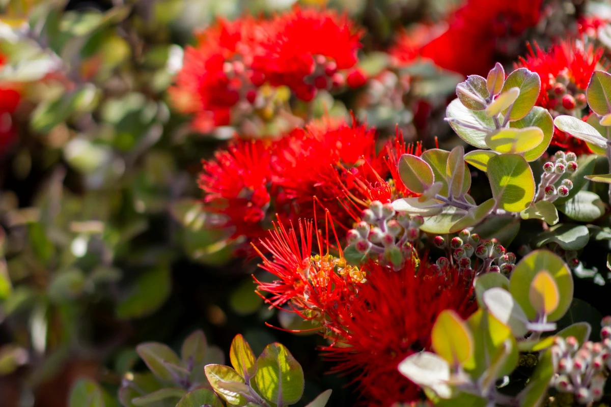 karaka-lifestyle-estate-13178