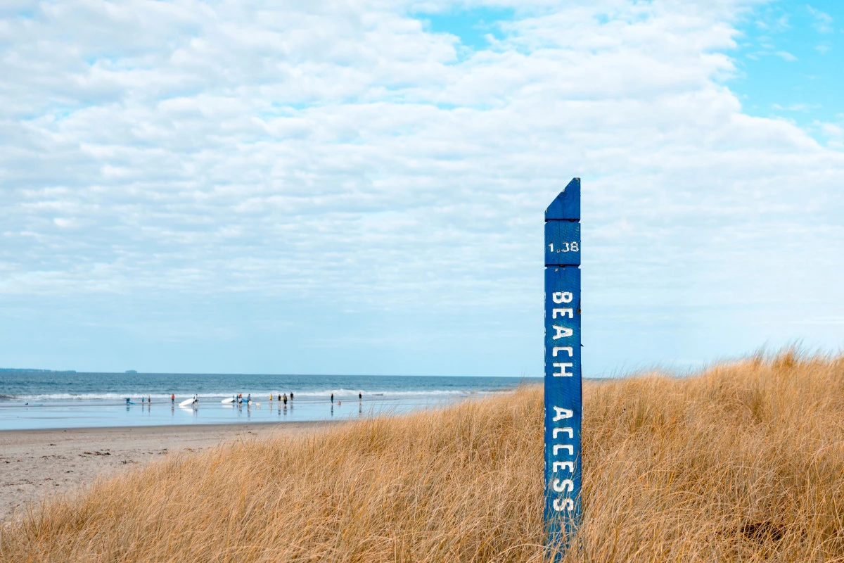 karaka-pines-papamoa-13191