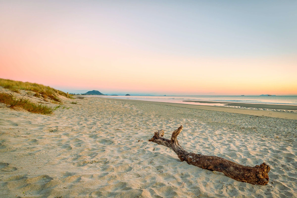 karaka-pines-papamoa-13192