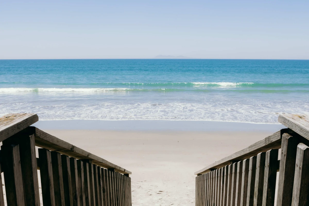 karaka-pines-waihi-beach-13446