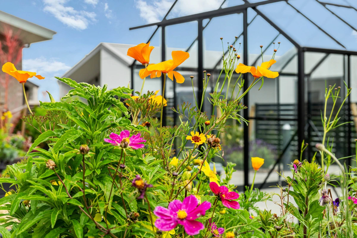 karaka-vivid-living-12879