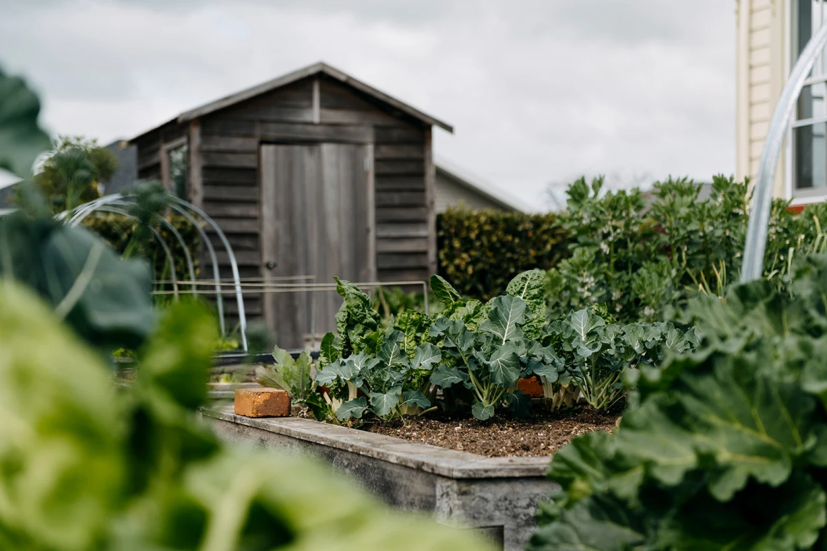 lauriston-park-arvida-11280