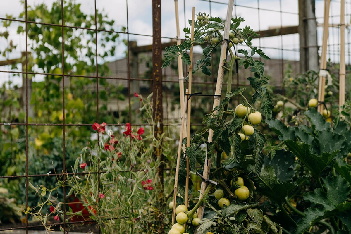 mary-doyle-arvida-13460