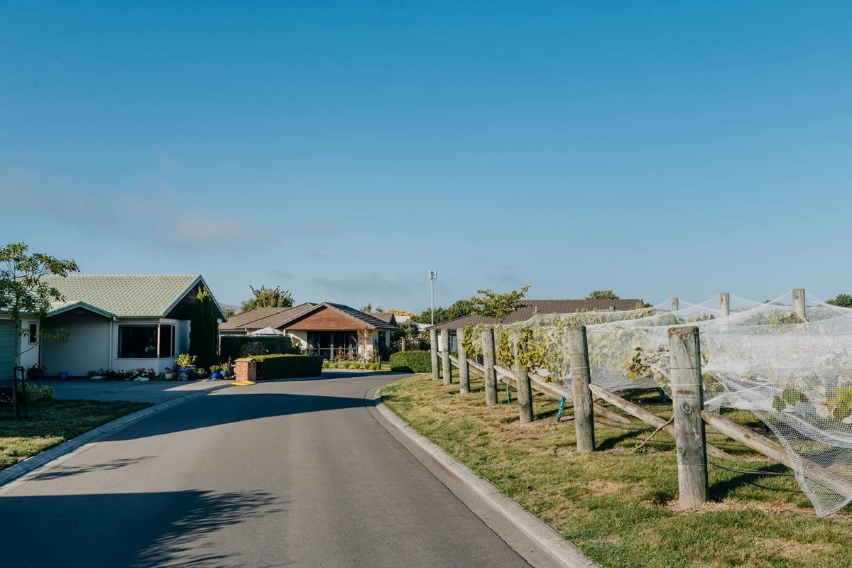 mary-doyle-arvida-13467