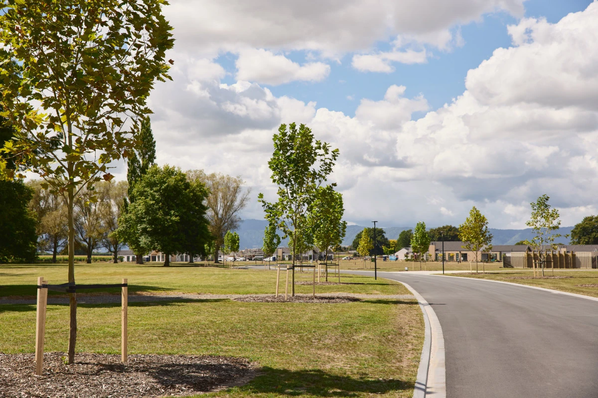 matamata-country-club-11916