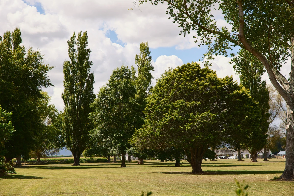 matamata-country-club-11917