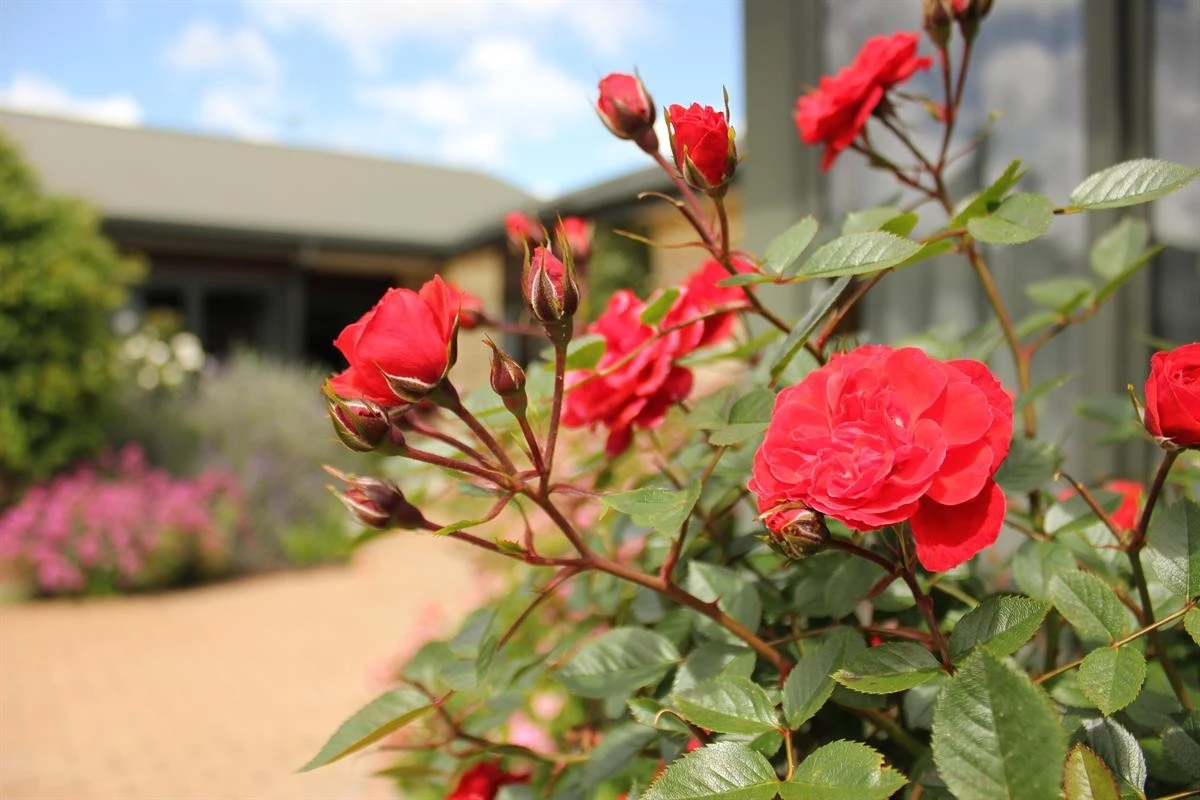 mayfair-arvida-group-20