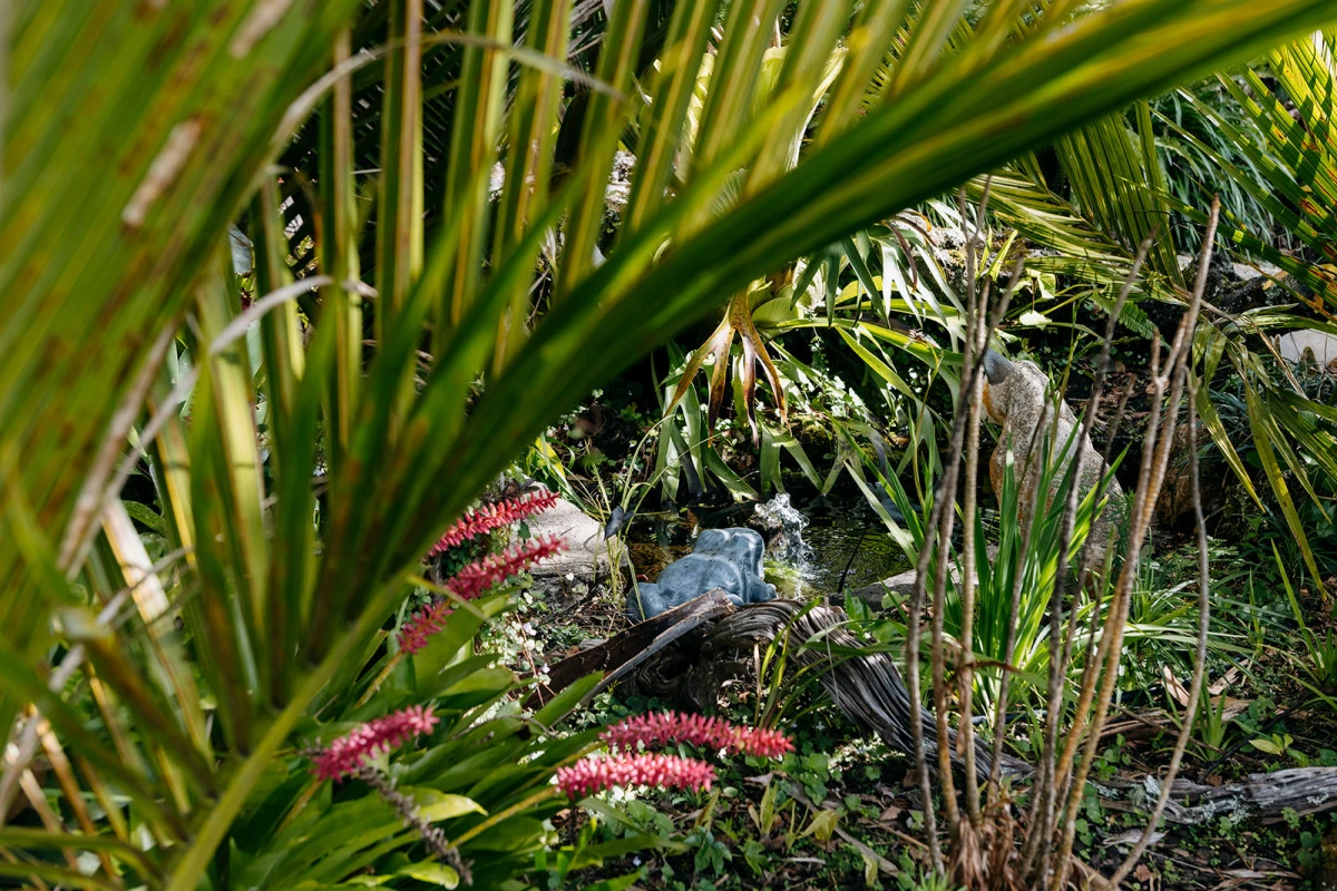 mayfair-auckland-arvida-11294