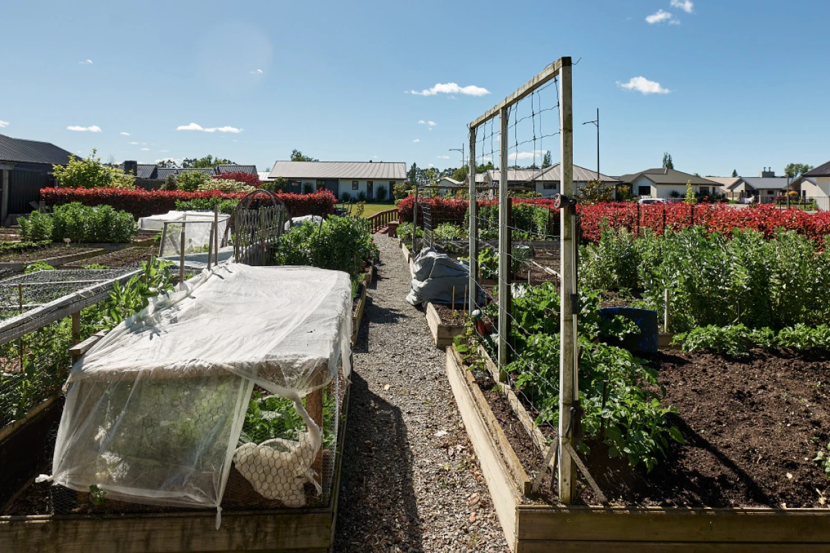 mckenzie-lifestyle-village-13616