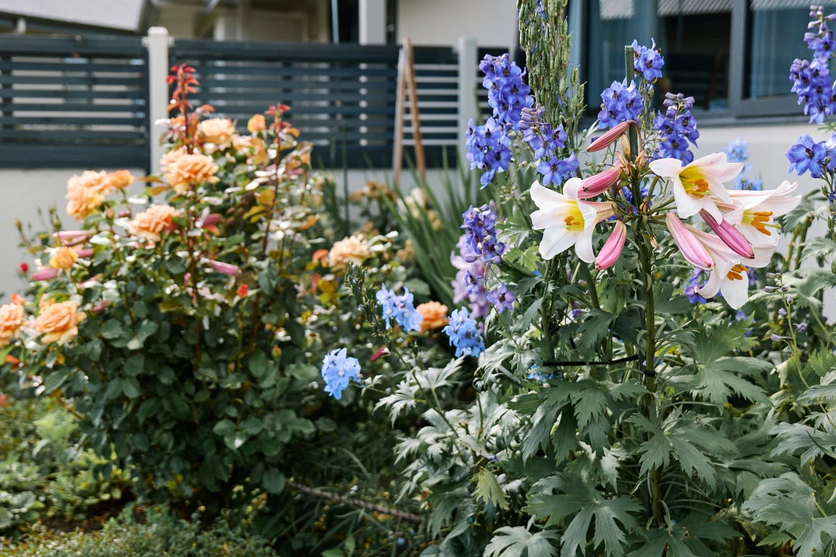 mckenzie-lifestyle-village-13617