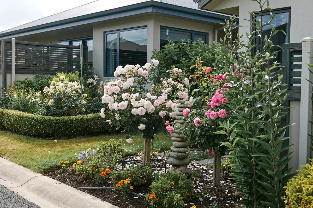 mckenzie-lifestyle-village-13618