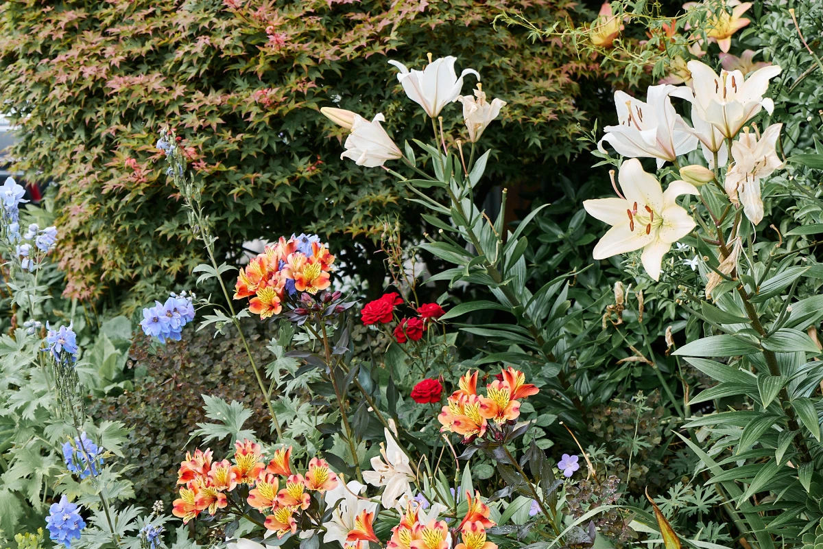 mckenzie-lifestyle-village-13621