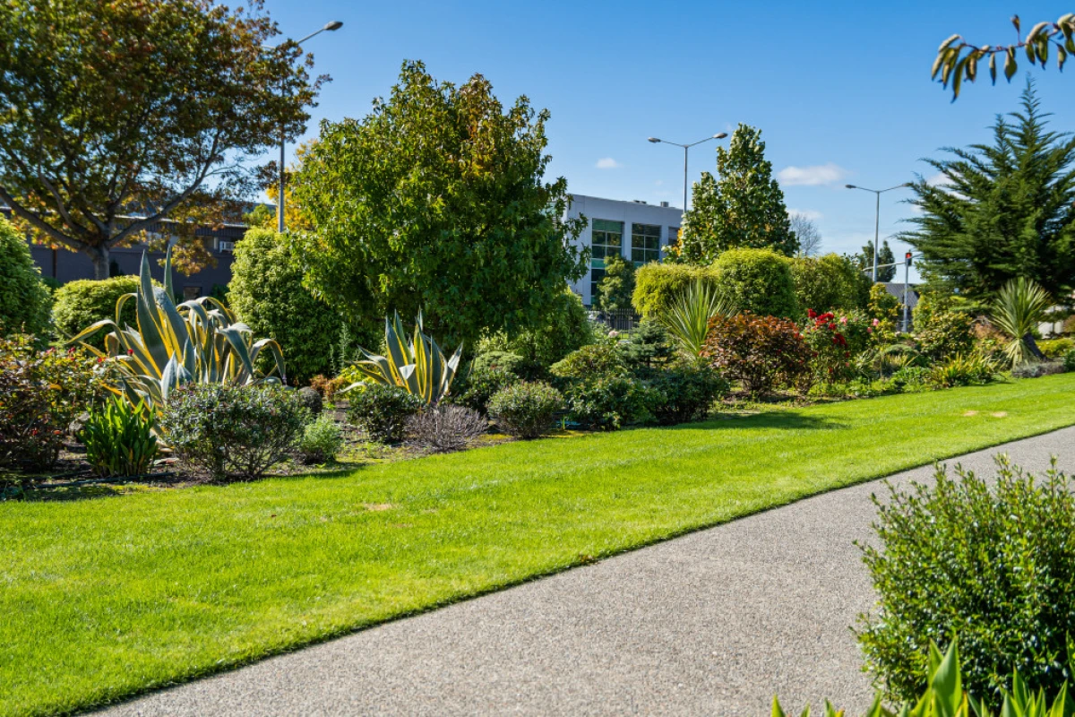 nazareth-house-christchurch-5559