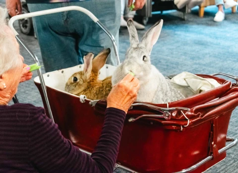 nurse-maude-care-home-6051