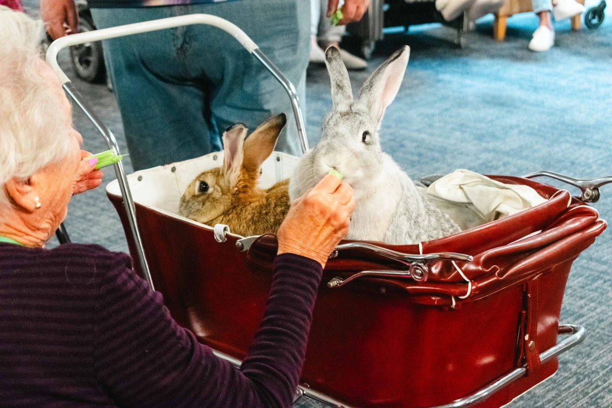 nurse-maude-care-home-6051