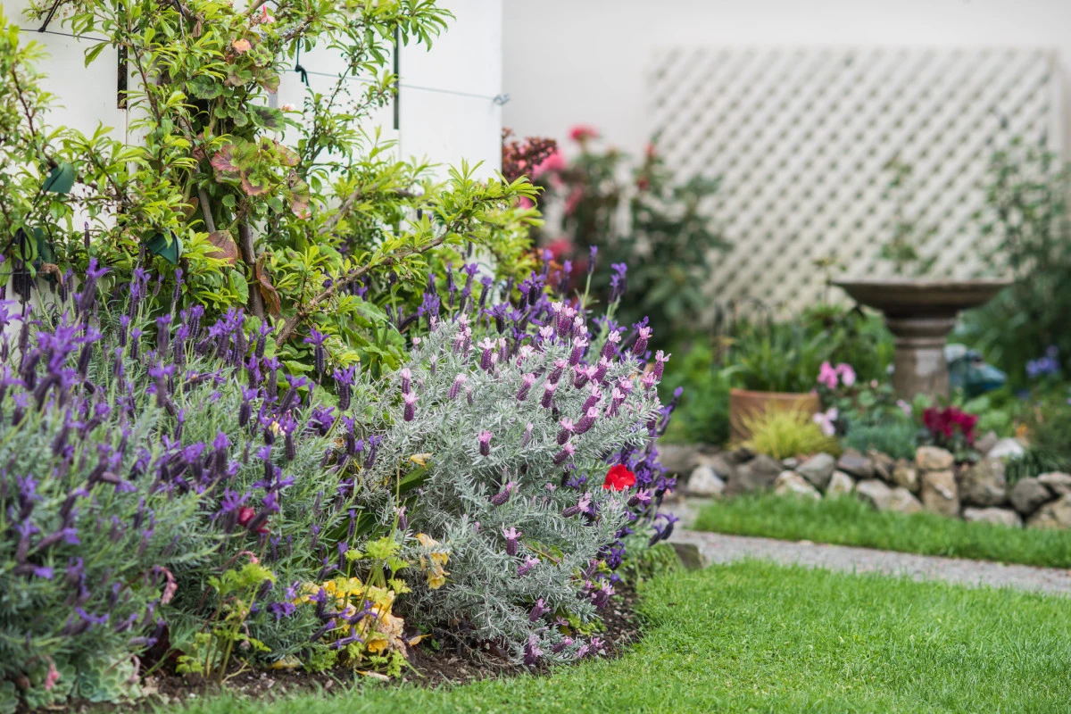 oakwoods-arvida-7762