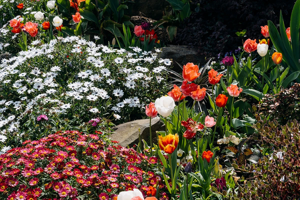 ocean-shores-arvida-11422