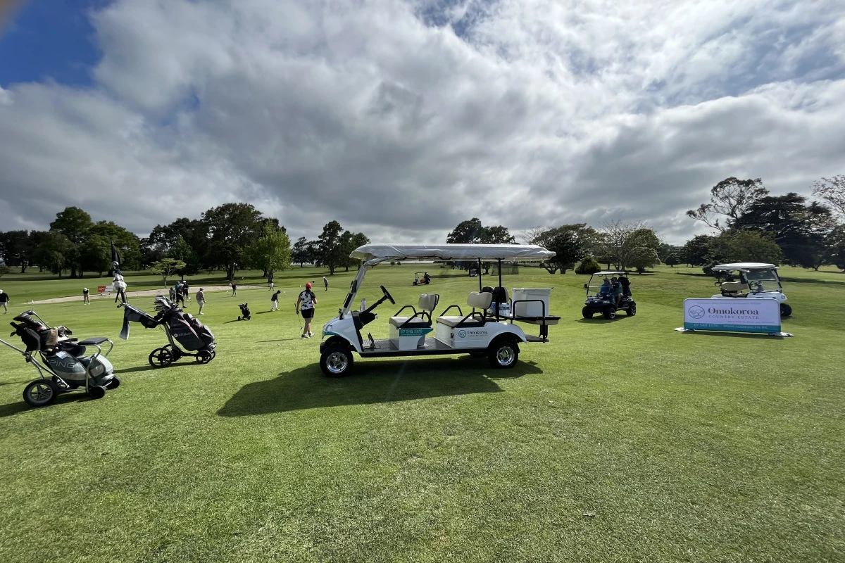 omokoroa-country-estate-12332