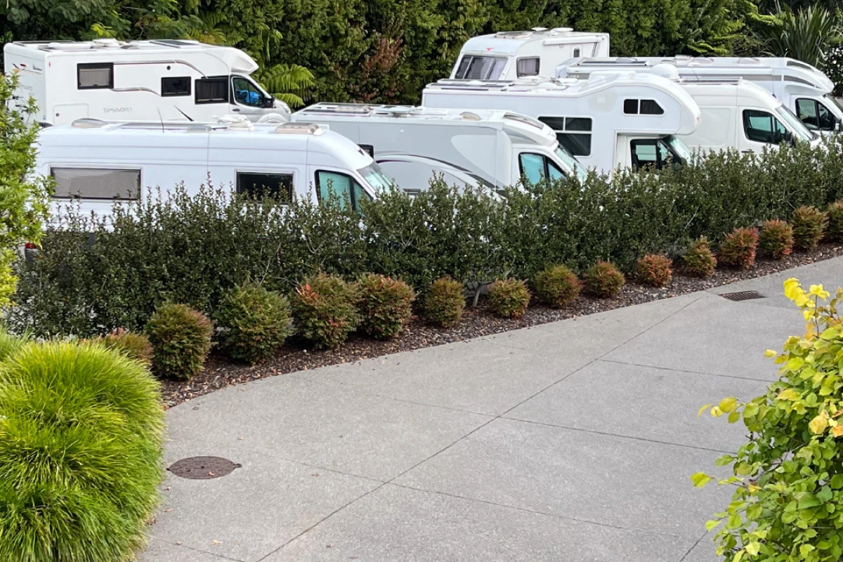 omokoroa-country-estate-12338