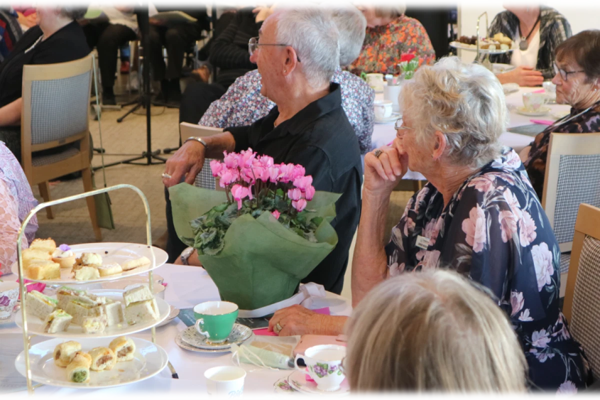 omokoroa-country-estate-12339