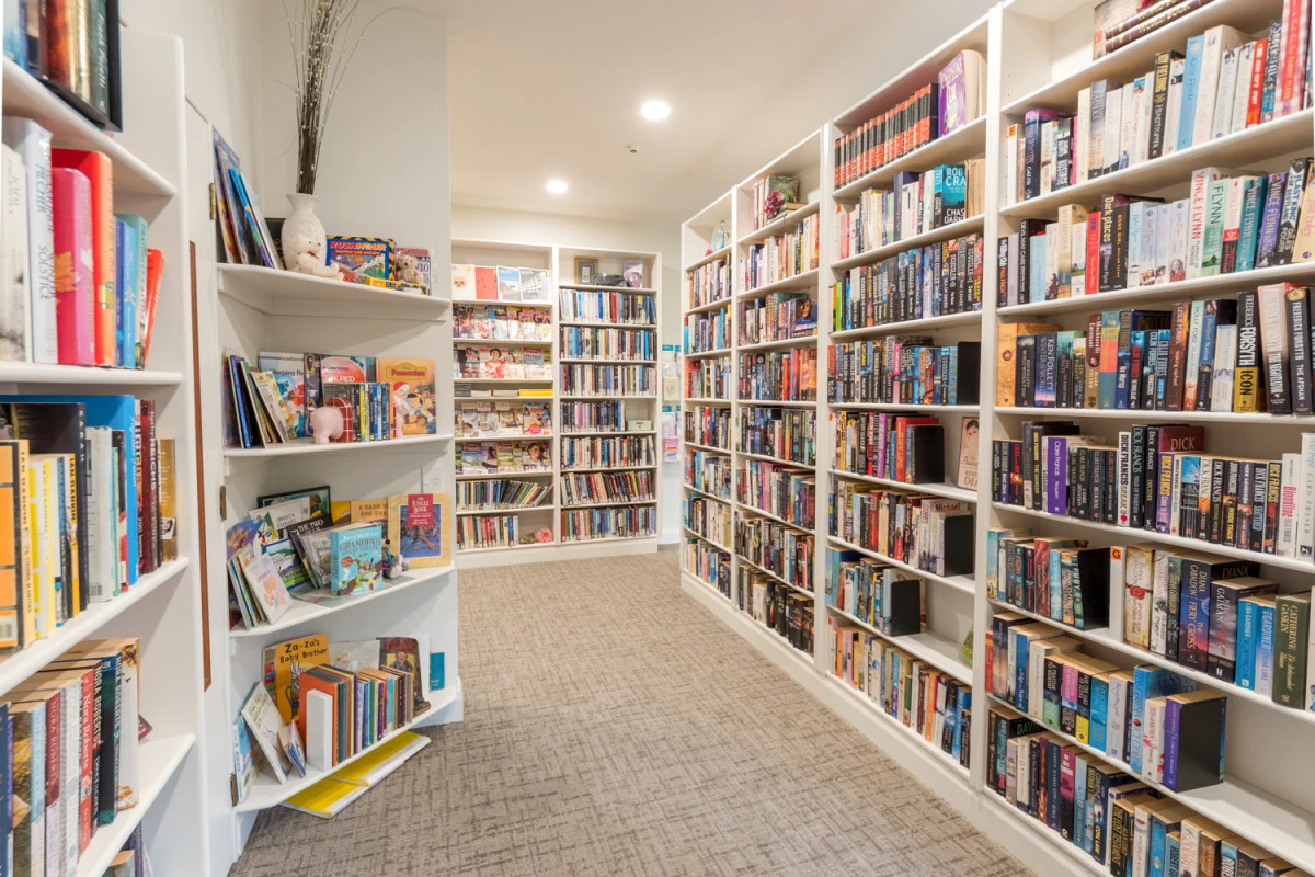 omokoroa-country-estate-7624