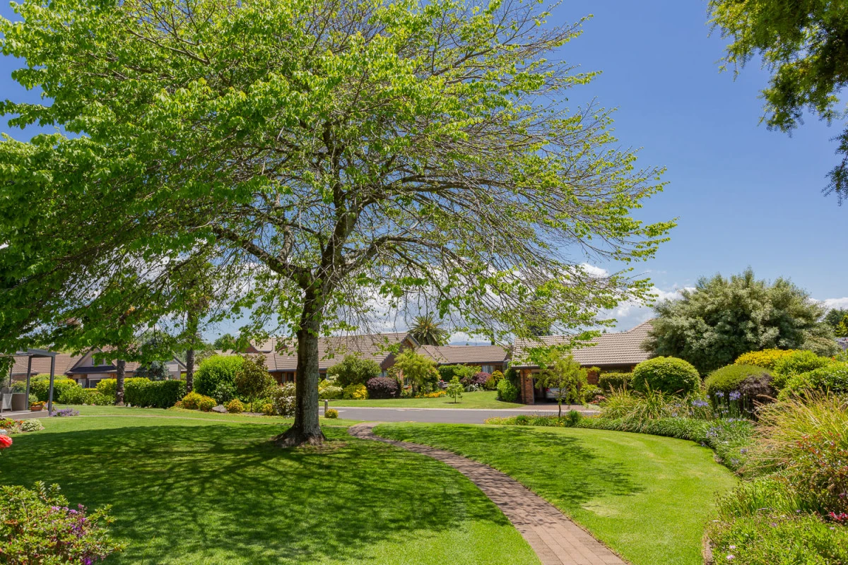 omokoroa-country-estate-7626