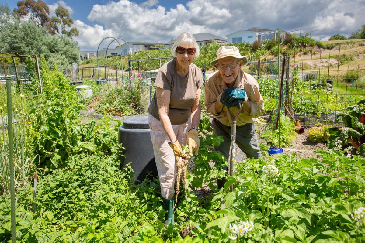 omokoroa-country-estate-7627