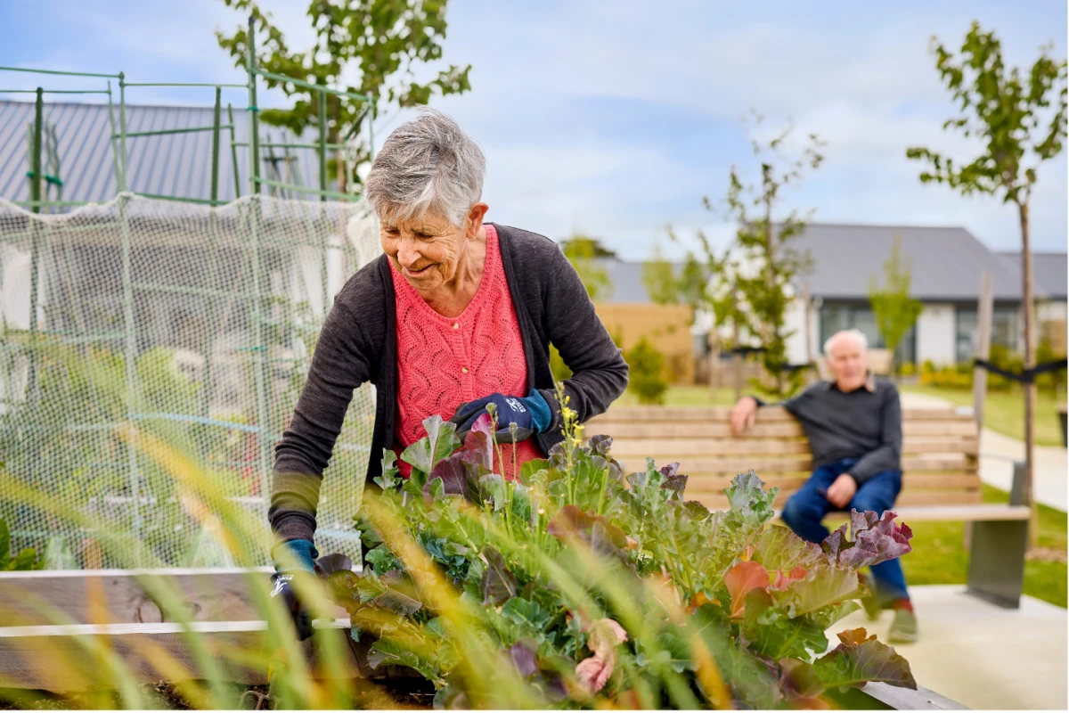 palmerston-north-village-metlifecare-9452