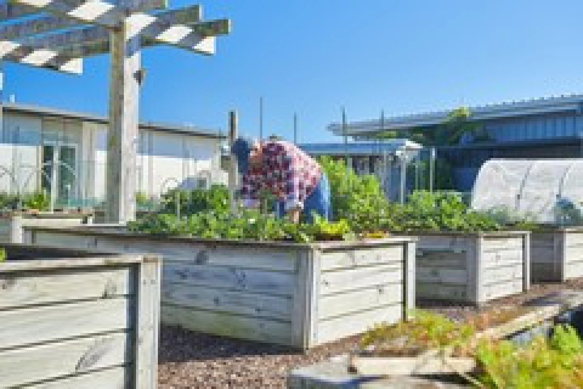 papamoa-beach-village-metlifecare-13163