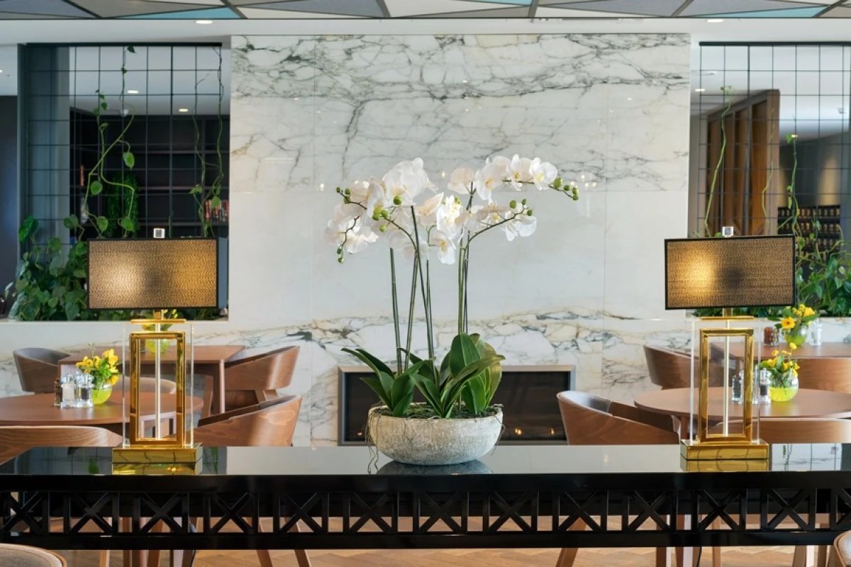 park-lane-arvida-group-10