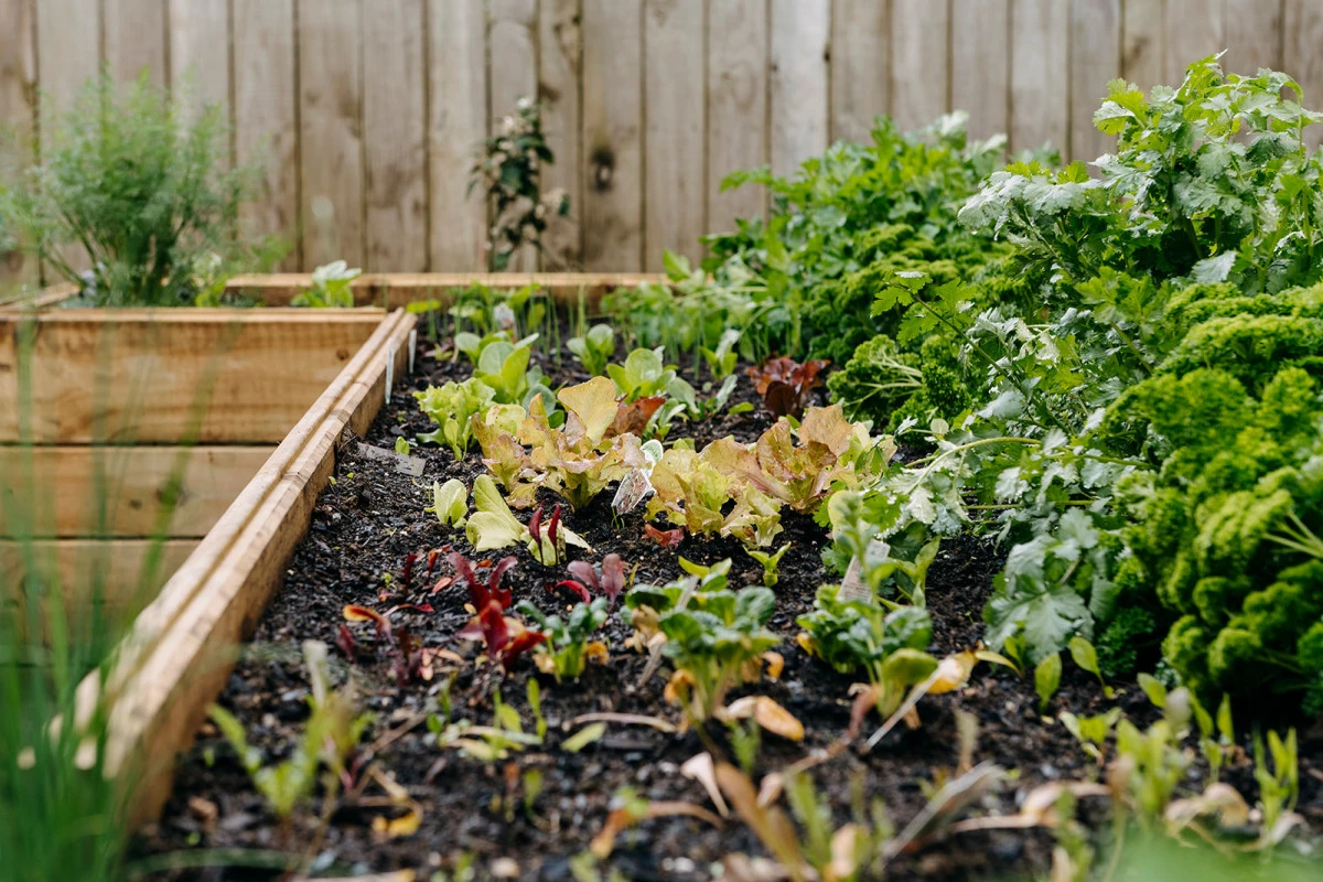 parklane-auckland-arvida-11436