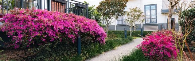 parkside-village-metlifecare-13138