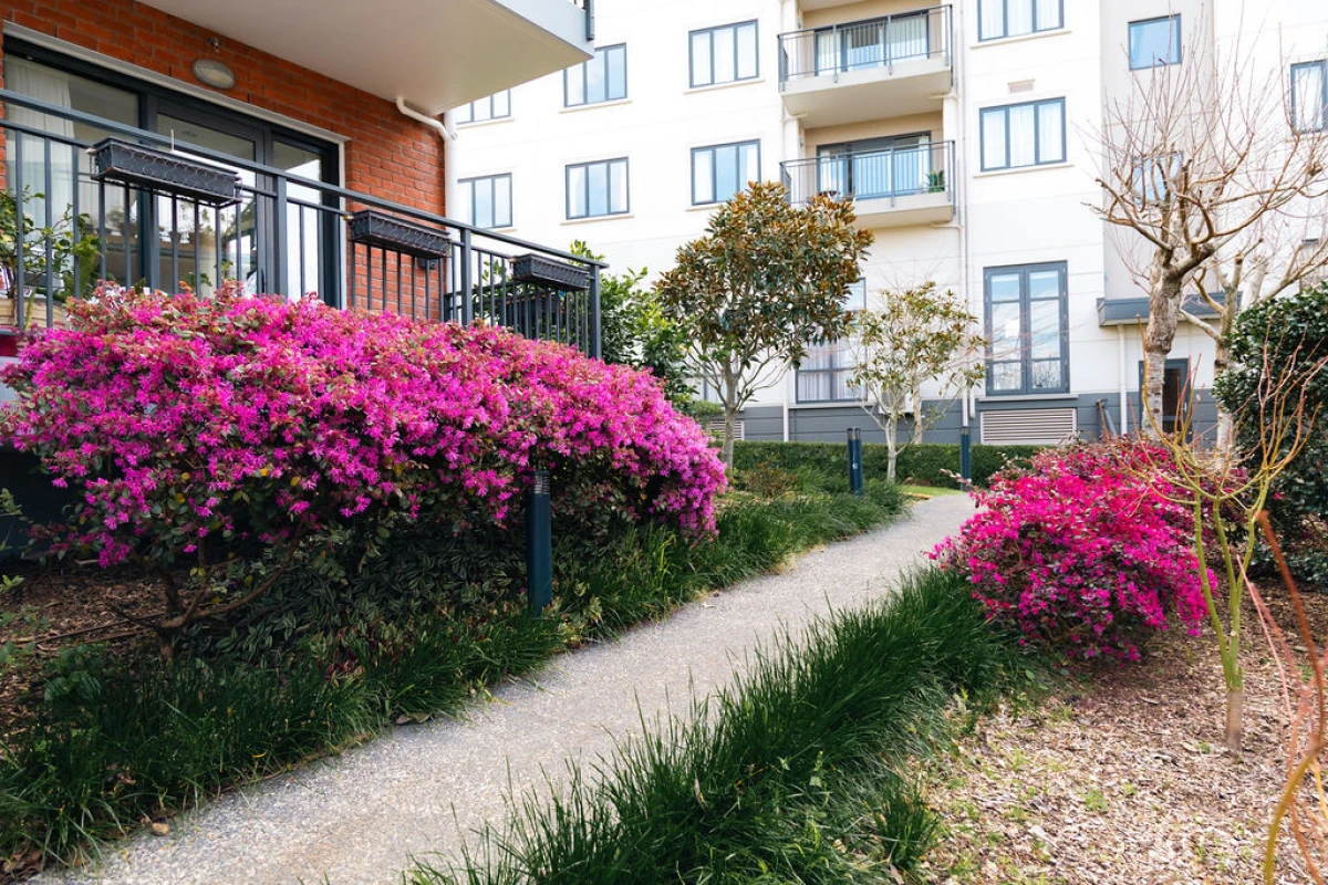 parkside-village-metlifecare-13138